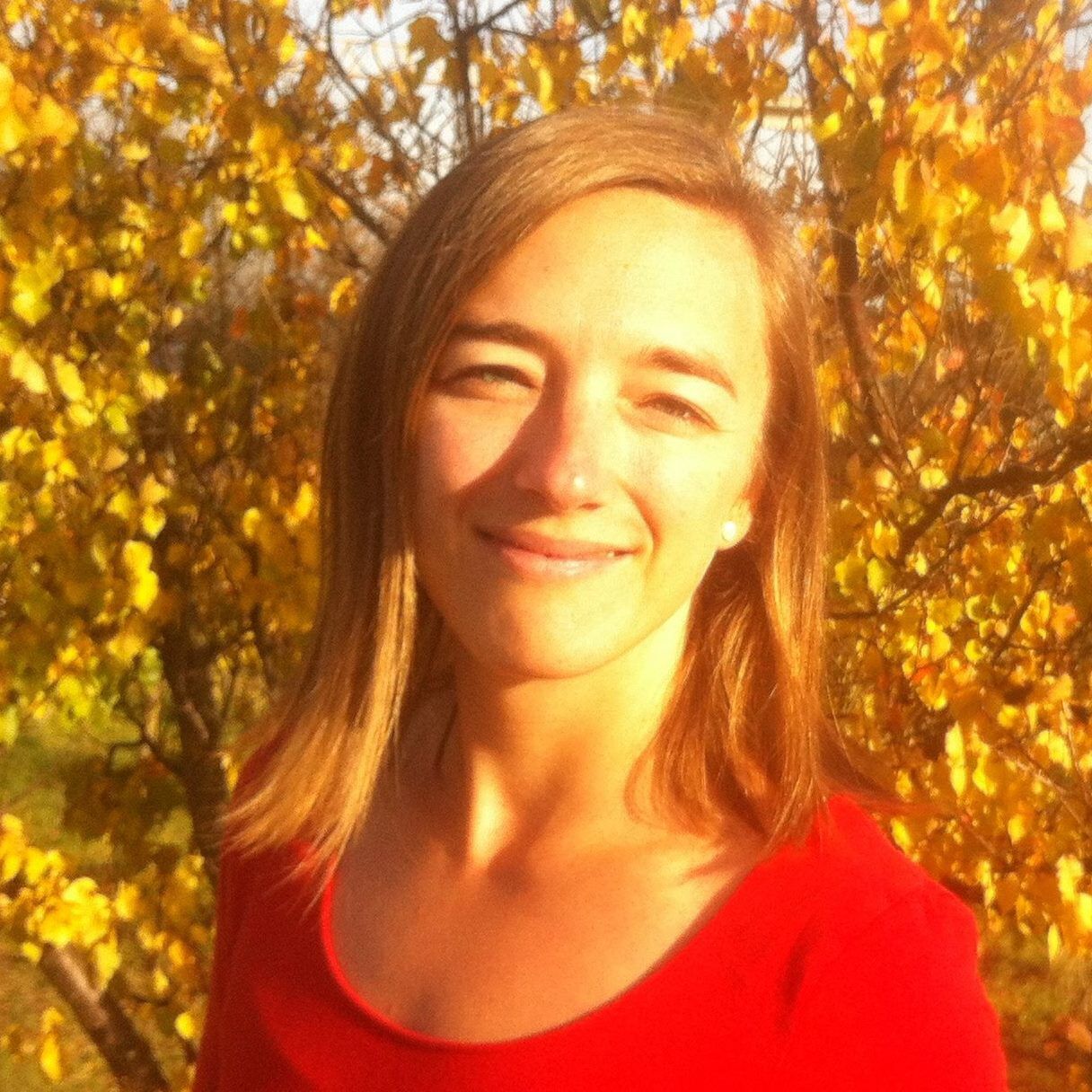 Software CMS - a big picture