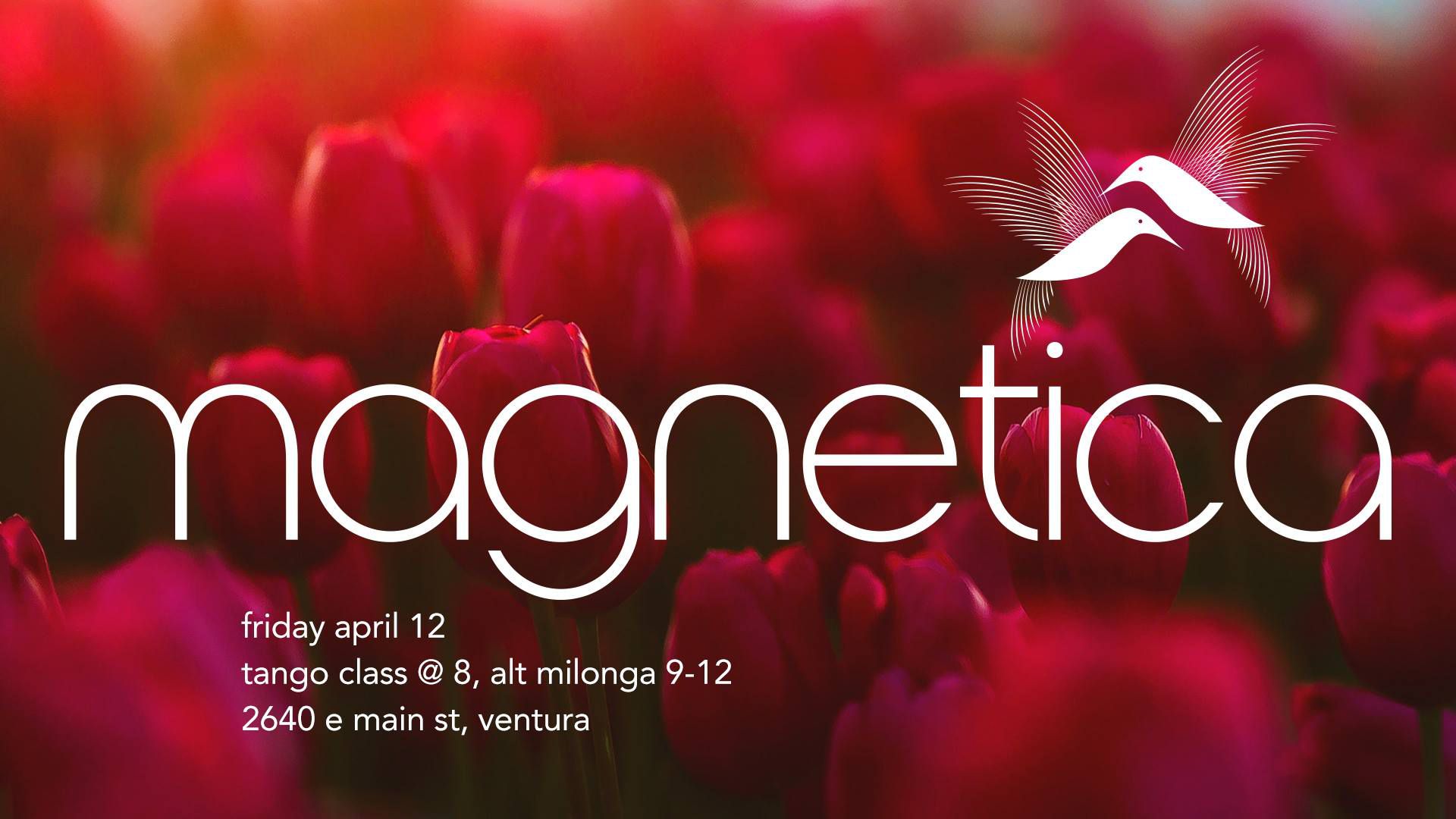 Software CMS - a big picture